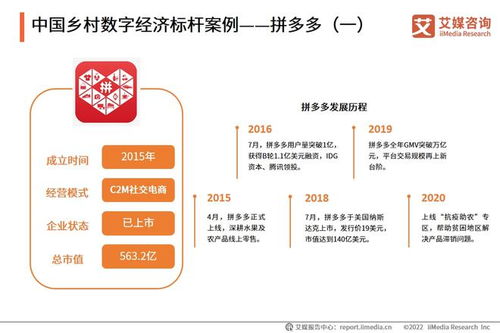 2022年中國鄉村數字經濟發展專題研究報告